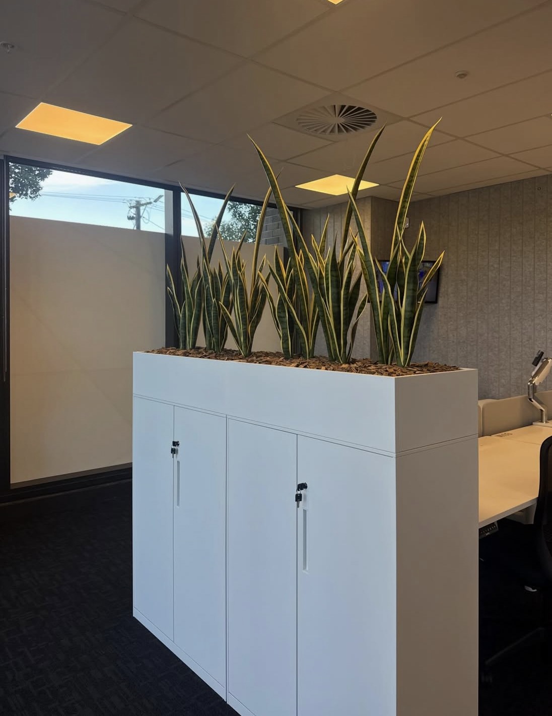 Integrated white planter box in an office setting